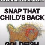 Snap That Child's Back, Goldfish | WHAT I WANNA DO TO THE KID THAT ALWAYS DOES TIK TOK DANCES IN THE MIDDLE OF CLASS | image tagged in snap that child's back goldfish | made w/ Imgflip meme maker