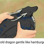 Hold dragon gentle like hamburger