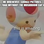 This is amazing, amirite? | ME WHENEVER I GOOGLE PICTURES OF TOAD WITHOUT THE MUSHROOM CAP ON | image tagged in cursed toad | made w/ Imgflip meme maker