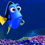 Dory