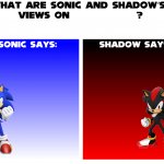 What Are Sonic And Shadows Views on.....