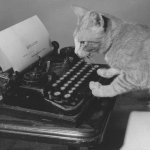 Cat typewriter