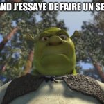 Swampy angry shrek | QUAND J'ESSAYE DE FAIRE UN SELFIE | image tagged in swampy angry shrek | made w/ Imgflip meme maker