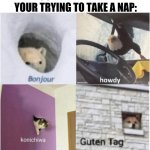 Bonjour guten tag | YOUR FAMILY WHEN YOUR TRYING TO TAKE A NAP: | image tagged in bonjour guten tag,memes | made w/ Imgflip meme maker