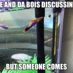 Guppies in a group | ME AND DA BOIS DISCUSSING; BUT SOMEONE COMES | image tagged in guppies in a group | made w/ Imgflip meme maker