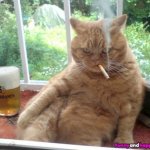 Smoking cat meme