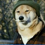 Smoking Dog with Cap