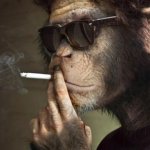 Monkey Smoking 2