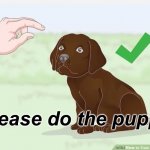 Please do the puppy
