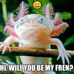 hi | 😄; HI, WILL YOU BE MY FREN? | image tagged in hi | made w/ Imgflip meme maker