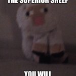 Fluffy the superior sheep | THIS IS FLUFFY THE SUPERIOR SHEEP; YOU WILL SEE MORE OF HIM | image tagged in fluffy the superior sheep | made w/ Imgflip meme maker