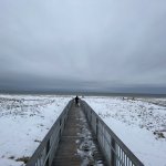 Winter at the beach