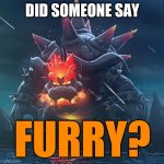 No furries | DID SOMEONE SAY; FURRY? | image tagged in bowsers fury | made w/ Imgflip meme maker