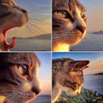 Thinking stages of cat