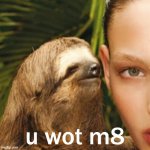 Whisper sloth u wot m8 meme