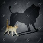 cat with lion sadow meme
