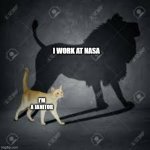 cat with lion sadow | I WORK AT NASA; I'M A JANITOR | image tagged in cat with lion sadow | made w/ Imgflip meme maker