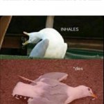 inhales dies bird | WHEN YOU'RE ALLERGIC TO AIR: | image tagged in inhales dies bird | made w/ Imgflip meme maker