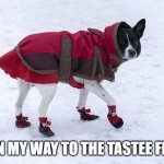 Cold Dog | I'M ON MY WAY TO THE TASTEE FREEZE | image tagged in cold dog | made w/ Imgflip meme maker