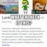 Lonk | IS THIS? WHAT THE HECK | image tagged in lonk | made w/ Imgflip meme maker