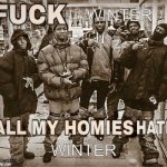 This meme was made by the moonbli gang | WINTER; WINTER; Killer2665 | image tagged in all my homies hate,wings of fire,wof | made w/ Imgflip meme maker