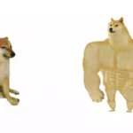 Buff Doge vs cheems reverse meme