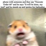 Execute Order 66 | When you hear the quiet kid on the phone with someone and they say "Execute Order 66" and he says "It will be done, my lord" and he stands up and ignites his lightsaber. | image tagged in scared hamster,quiet kid,star wars,order 66 | made w/ Imgflip meme maker
