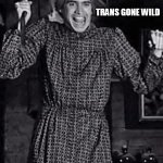 trans | TRANS GONE WILD | image tagged in trans | made w/ Imgflip meme maker