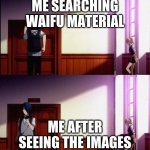 Ishigami | ME SEARCHING WAIFU MATERIAL; ME AFTER SEEING THE IMAGES | image tagged in ishigami | made w/ Imgflip meme maker