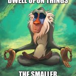Rafiki wisdom | THE LESS YOU DWELL UPON THINGS; THE SMALLER THE PROBLEM BECOMES | image tagged in rafiki wisdom,memes,zen | made w/ Imgflip meme maker