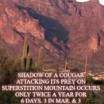 cougar | ARIZONA; SHADOW OF A COUGAR ATTACKING ITS PREY ON SUPERSTITION MOUNTAIN OCCURS ONLY TWICE A YEAR FOR 6 DAYS. 3 IN MAR. & 3 IN SEPT. APACHE JUNCTION. ARIZ. | image tagged in cougar | made w/ Imgflip meme maker