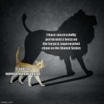 Cat with Lion Shadow | I have successfully performed a heist on the largest supermarket chain in the United States; I stole an opinion from walmart | image tagged in cat with lion shadow | made w/ Imgflip meme maker