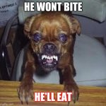 MAD DOG | HE WONT BITE; HE'LL EAT | image tagged in mad dog | made w/ Imgflip meme maker