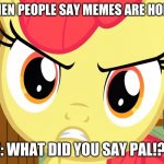 Apple Bloom is Pissed (MLP) | ME WHEN PEOPLE SAY MEMES ARE HORRIBLE; ME: WHAT DID YOU SAY PAL!?!?! | image tagged in apple bloom is pissed mlp | made w/ Imgflip meme maker