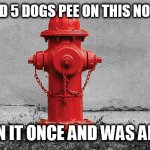 love | I WATCHED 5 DOGS PEE ON THIS NO PROBLEM; I PEED ON IT ONCE AND WAS ARRESTED | image tagged in love | made w/ Imgflip meme maker