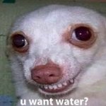 U want water