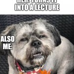 What the hell dog | ME: TRYING TO TELL MY MOM SOMETHING; HER: TURNS IT INTO A LECTURE; ALSO ME: | image tagged in what the hell dog | made w/ Imgflip meme maker