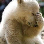 Daily Bad Dad Joke March 10 2021 | WHAT DO YOU CALL BEARS WITH NO EARS? B. | image tagged in memes,facepalm bear | made w/ Imgflip meme maker