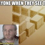 Lol true right? | EVERYONE WHEN THEY SEE THIS: | image tagged in illusion,confusing,memes | made w/ Imgflip meme maker