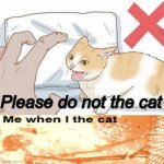 Please do not the cat | image tagged in please do not the cat | made w/ Imgflip meme maker