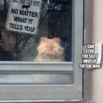 I'll let the cat out | I CAN STOP THE SILLY IMGFLIP TIKTOK WAR | image tagged in dont let the cat out | made w/ Imgflip meme maker