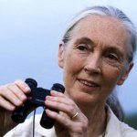 Jane Goodall Fascinating Behavior