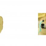 Buff cheems vs crying doge meme