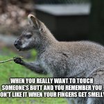 Kangaroo is really sticking to its dreams. | WHEN YOU REALLY WANT TO TOUCH SOMEONE'S BUTT AND YOU REMEMBER YOU DON'T LIKE IT WHEN YOUR FINGERS GET SMELLY. | image tagged in kangaroo holding stick | made w/ Imgflip meme maker