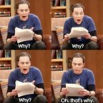 Sheldon why meme