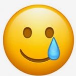 smile-crying emoji meme