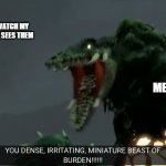 You dense, irritating, miniature beast of burden! | GUY WHO DOESN'T WATCH MY MEMES EVEN THOU HE SEES THEM; ME | image tagged in you dense irritating miniature beast of burden | made w/ Imgflip meme maker