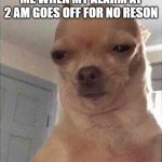 Chihuahua Meme Face | ME WHEN MY ALARM AT 2 AM GOES OFF FOR NO RESON | image tagged in chihuahua meme face | made w/ Imgflip meme maker