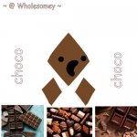 Wholesomey Choco Temp