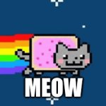 Nyan Cat Blank Template - Imgflip